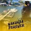 lifeofmarc